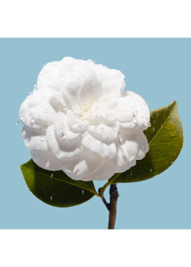 CHANEL DUDAK KALEMİ - 7