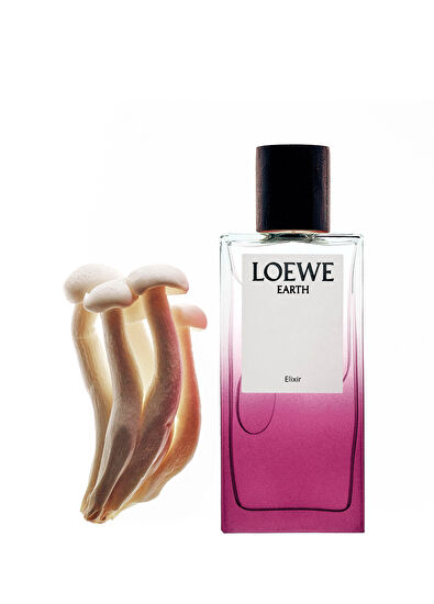 Loewe Loewe Earth Elıxır 100ml - 4