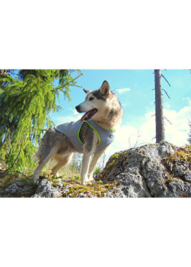 True Love Soğutucu Özellikli Turuncu Gri Köpek Yeleği - 5