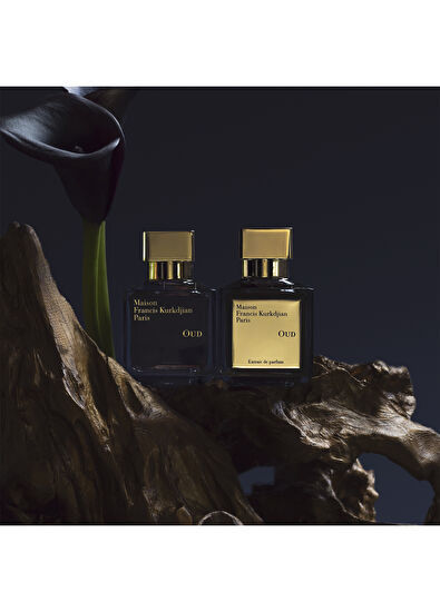 Maison Francis Kurkdjian Oud EDP 70 ml Unisex Parfüm - 5