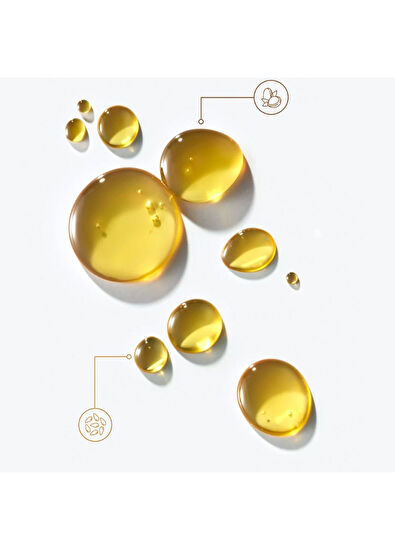 Moroccanoil Treatment Kuru Saçlar İçin Bakım Yağı 100 ml - 7