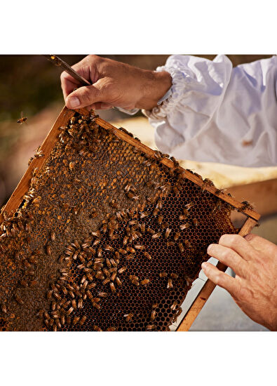 Guerlain Aqua Nerolia Vetiver Harvest EDT 125 ml Parfüm - 5