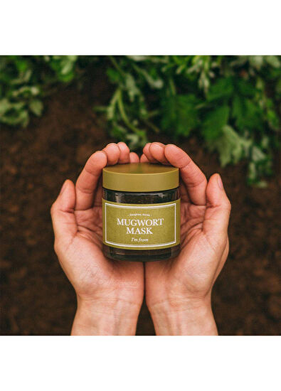 I’m From Mugwort Mask Rahatlatıcı Arındırıcı Konsantre Pelin Otu Maskesi 110gr - 5