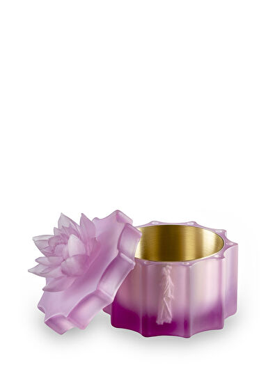 Astomeria The Chromatic Court Lilac Plexiglass Cookie Jar - 4