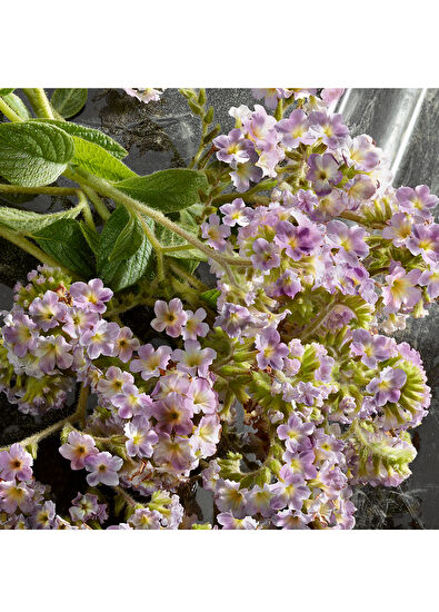 Dolce&Gabbana Qby Dg Edpi Intense Men's 50ml Perfume - 6