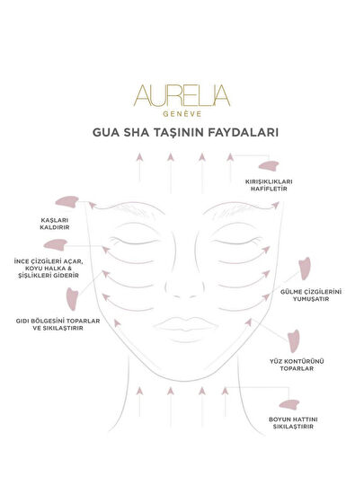 Aurelia Genève Black Bıan Stone Butterfly Shaped grua Sha - 5