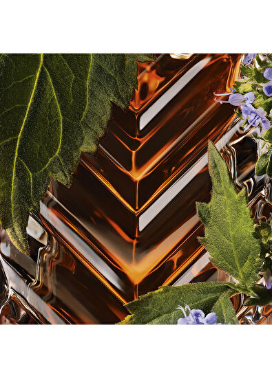 Yves Saint Laurent Le Vestıaıre Des Parfums Radıcal - Tuxedo 50Ml - 5