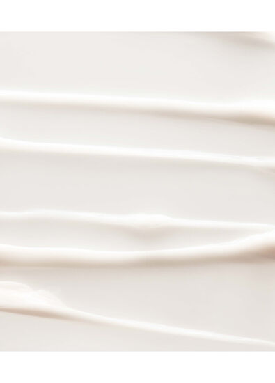 Noble Panacea Brilliant Radiant Resilience Moisturizer Refill - 6