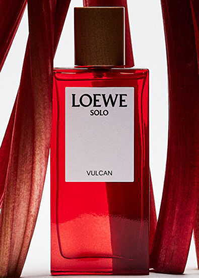 Loewe Loewe Solo Vulcan Edp 100 ml - 4