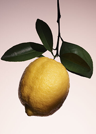 Giorgio Armani Armani/Privé Pivoine Suzhou EDT 100ml - 5