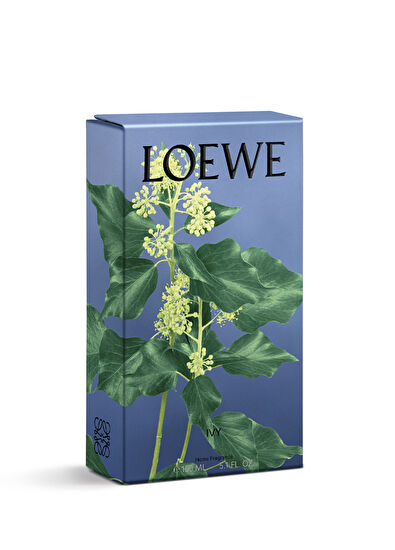 Loewe Ivy Home Fragrance 150 Ml - 6