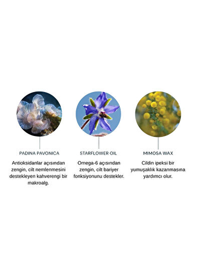 Elemis Pro-Collagen Green Fig Purifying Facial Cleansing Balm 100 gr - 4