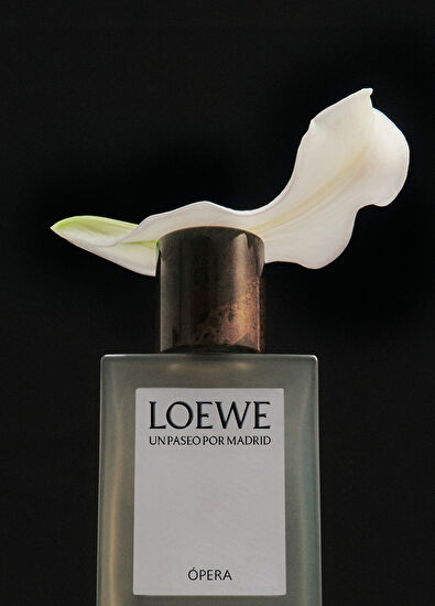Loewe Opera EDP 100 ml Parfüm - 4