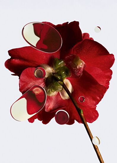 CHANEL N°1 De Chanel Revitalizing Foundation Br132 30Ml - 7