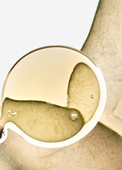 Loewe Elixir Solo Ella EDP 100 ml Kadın Parfüm - 3