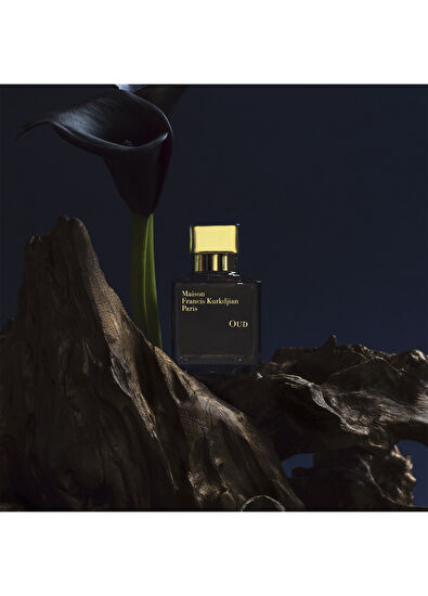 Maison Francis Kurkdjian Oud EDP 70 ml Unisex Parfüm - 4