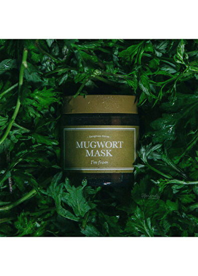 I’m From Mugwort Mask Soothing Purifying Concentrated Wormwood Mask 110gr - 3
