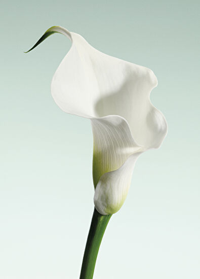 Giorgio Armani Armani Primary Vert MalachIte Edp 100ml - 5