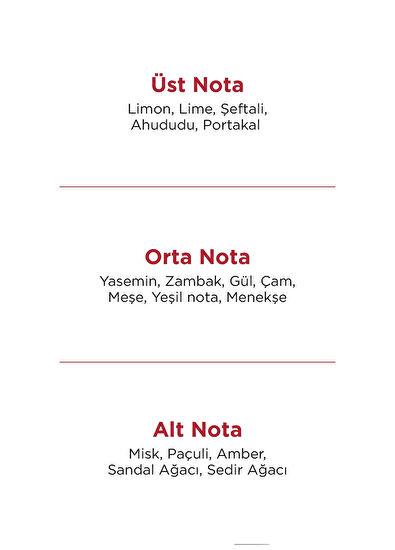 Beauty Omelette Body Oil Nemlendirici Cilt Bakım Yağı 100 ml - 5