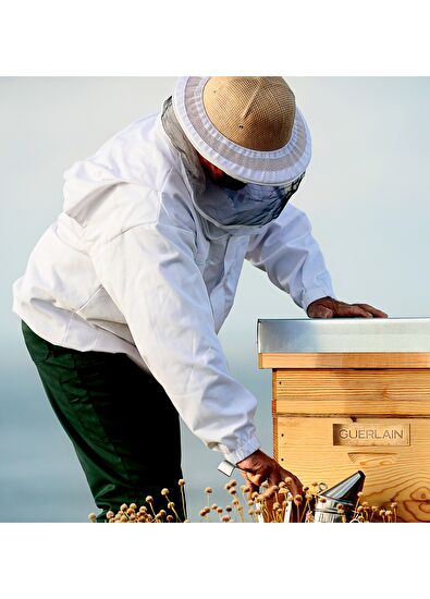 Guerlain Abeille Royale Night Cream - 10