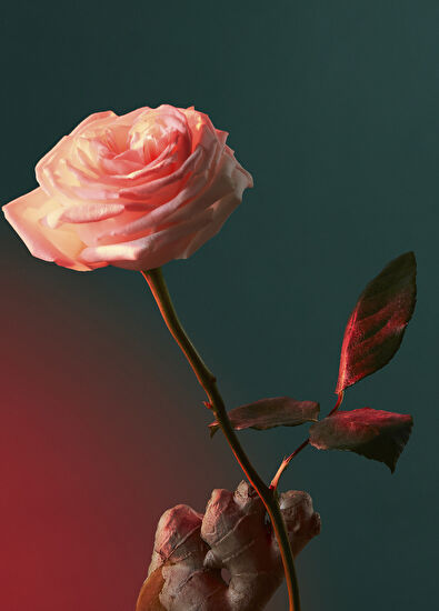 Penhaligon's Liquid Love EDP 50 ML Unisex Perfume - 5