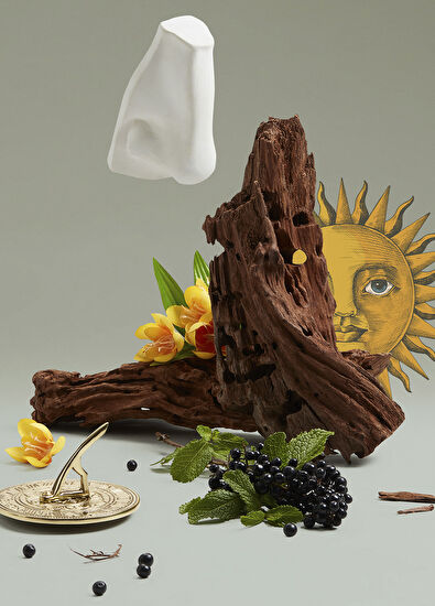 Penhaligon's Solaris EDP 100 ML Parfüm - 4