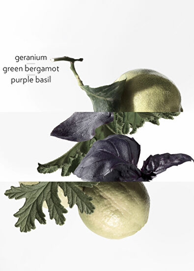 Hermès Eau De Basilic Pourpre Edc 200Ml - 5