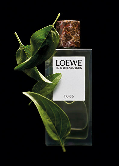 Loewe Loewe Uppm Prado 100ml - 5