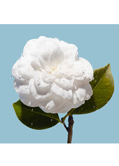 CHANEL Hydra Beauty Micro Gel Crème 50Gr - 7
