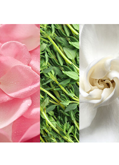 Mario Badescu Facial Spray Aloe Herbs Rosewater 118ml - 4