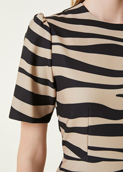 Beymen Club Camel Zebra Desenli Mini Elbise - 5
