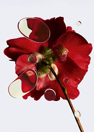 CHANEL N°1 De Chanel Revitalizing Foundation B60 30Ml - 7