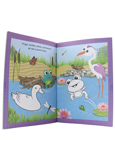 Pi Kids Baby Einstein World of Color - 4