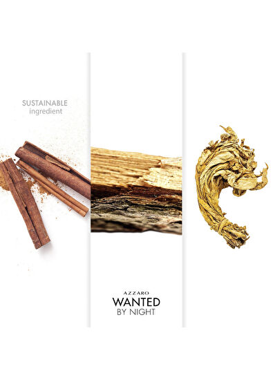 Azzaro Wtd By Night EDP 100 ml Erkek Parfüm - 5