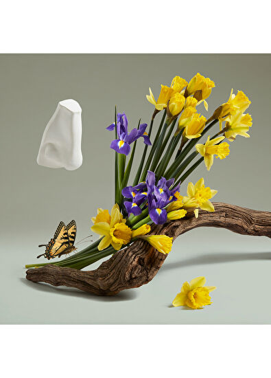 Penhaligon's The Revenge Of Lady Blanche Edp 75 Ml Perfume - 4