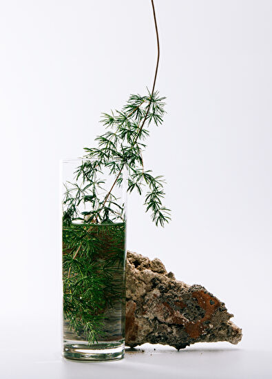 Loewe Solo Cedro EDT 100 ml Men's Perfume - 3