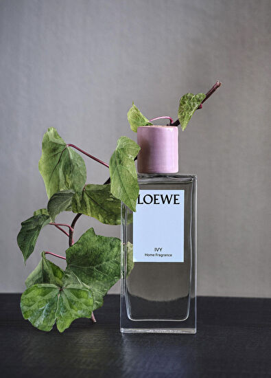 Loewe Ivy Home Fragrance 150 Ml - 7