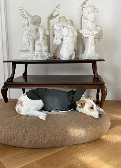 St. Pia Budu Köpek Yatağı - 5