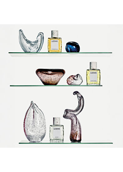 Loewe Iris Root EDP 100ml - 5