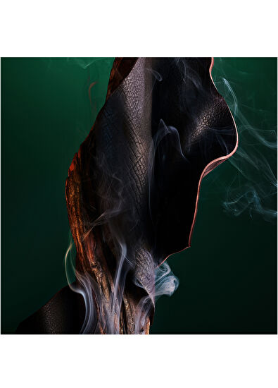 Bvlgari Le Gemme Falkar Edp 125 Ml Unisex Perfume - 3