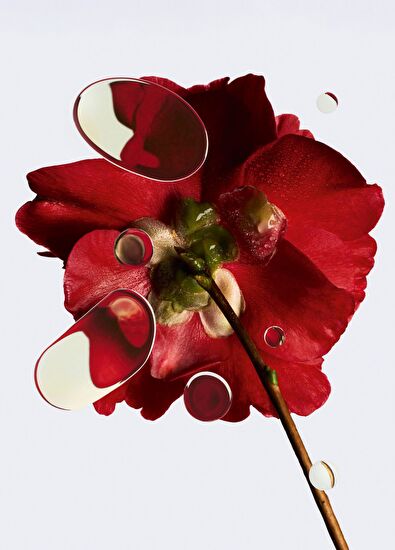 CHANEL N°1 De Chanel Revitalizing Foundation Bd91 30Ml - 7