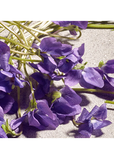 Dolce&Gabbana Dolce Violet EDT 50ml Kadın Parfüm - 5