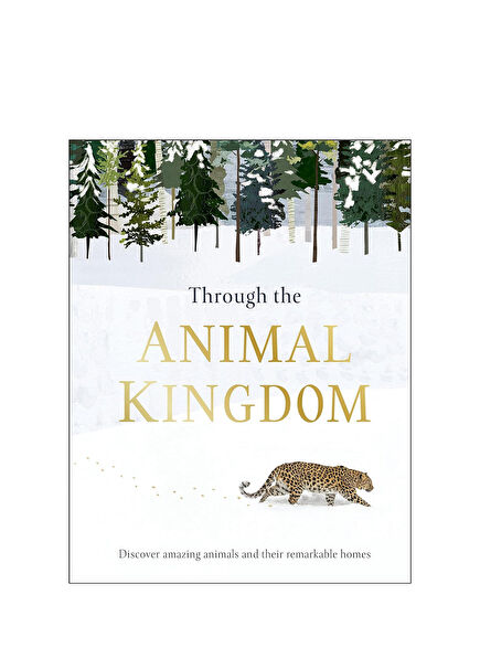 Through The Animal Kingdom Eğitici Kitap