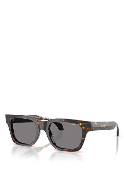 Brown Men's Sunglasses