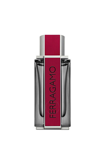 Ferragamo Red Leather EDP 100 ml Erkek Parfüm