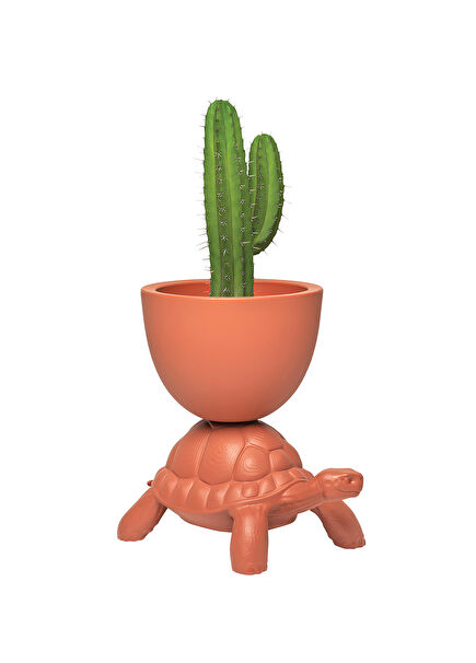 Turtle Carry Terracotta Saksı