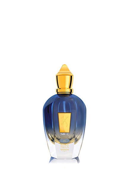 Jtc More Than Words EDP 100 ml Unisex Perfume