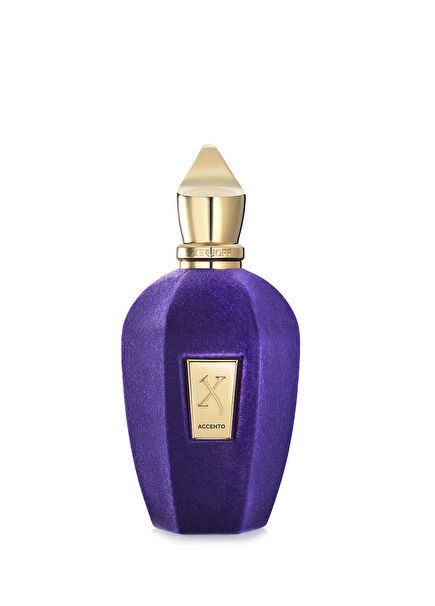 V Accento 100 ml Unisex EDP Perfume