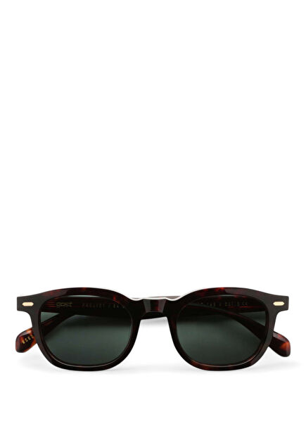 Anima Classic Havana Acetate Unisex Sunglasses