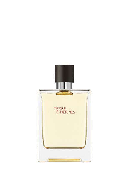 Terre d'Hermès Eau de Toilette 100ml
